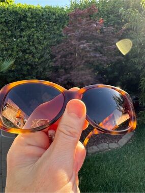 Brighton sunglasses